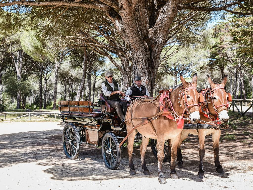 Casa Rural Aldea Chica Villa Los Canos De Meca Eksteriør bilde