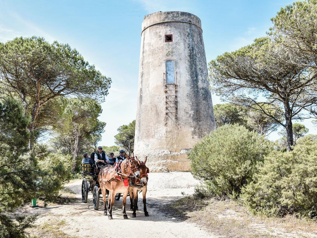 Casa Rural Aldea Chica Villa Los Canos De Meca Eksteriør bilde